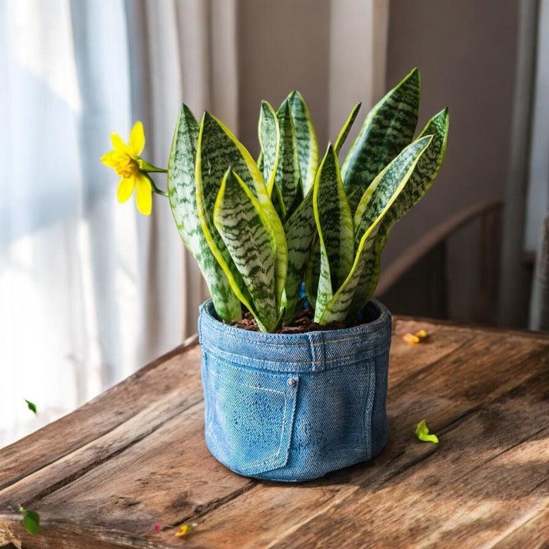 Planter Pot Jeans Rustic Denim Garden - The Renmy Store Homewares & Gifts 