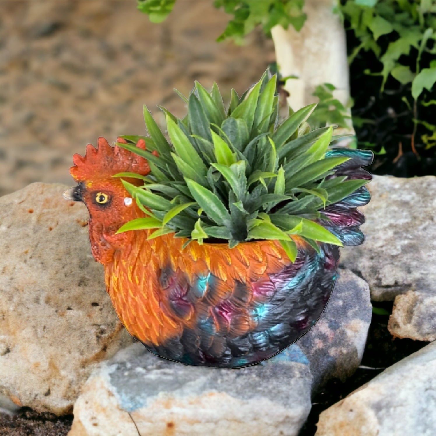 Plant Pot Planter Rooster Country - The Renmy Store Homewares & Gifts 