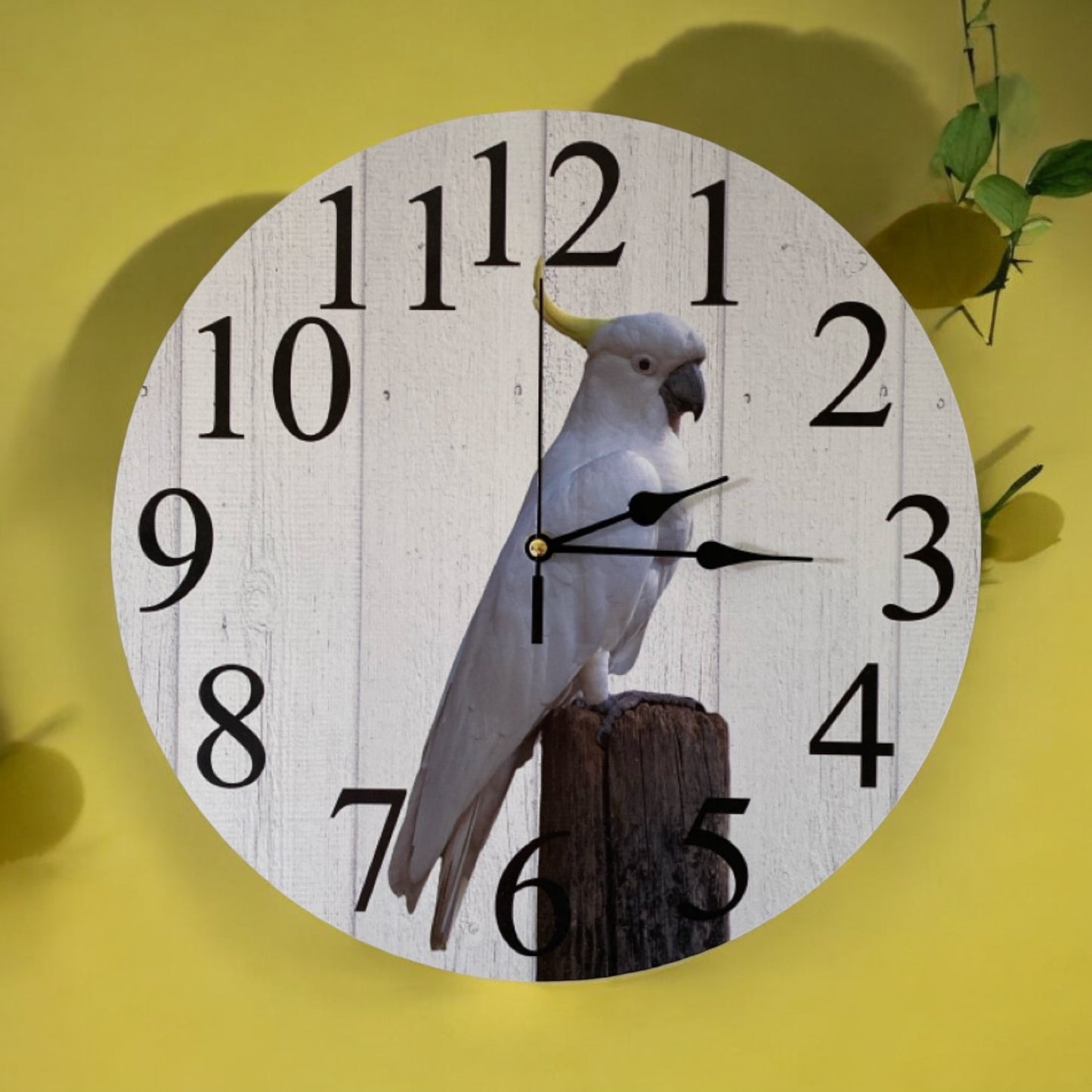 Clock Wall Bird Cockatoo Aussie Made