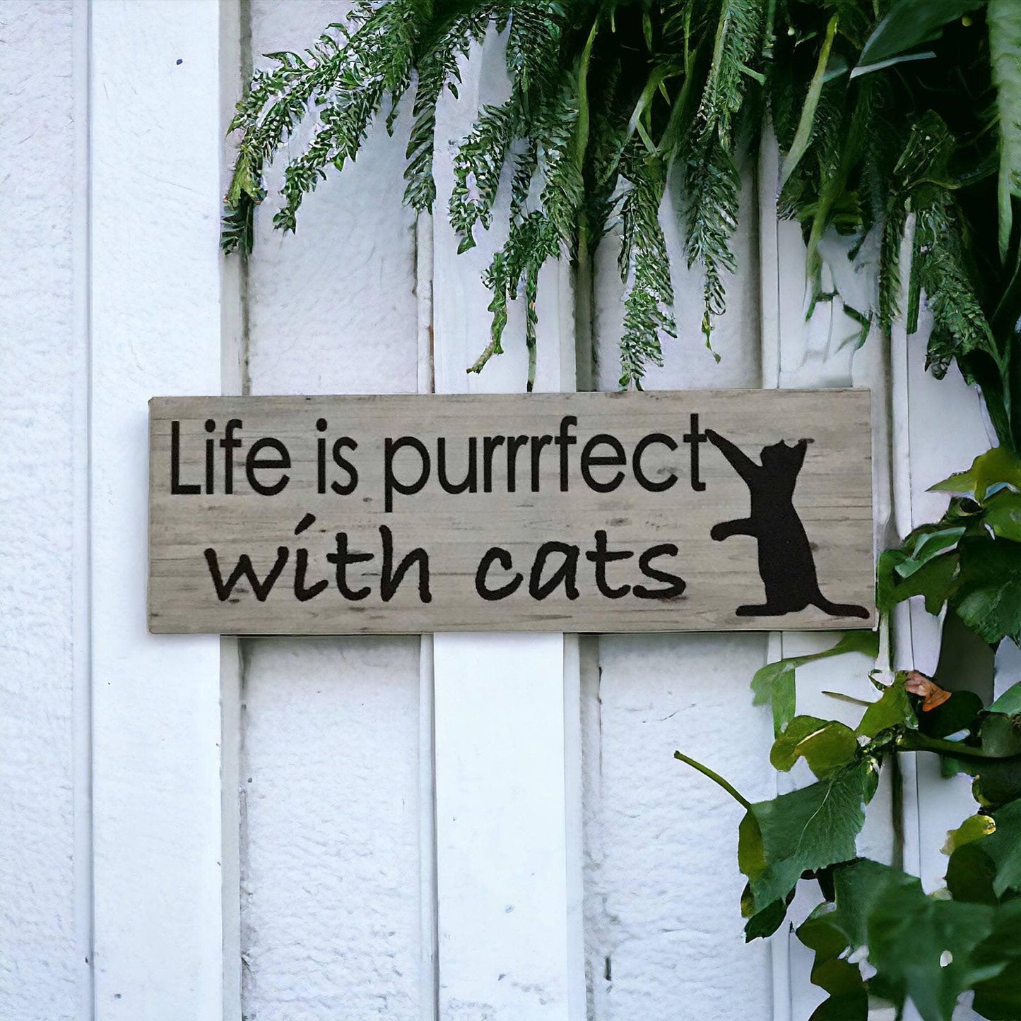 Cat Lover Planter Brush Life Is Perfect Cats Sign Gift Set - The Renmy Store Homewares & Gifts 