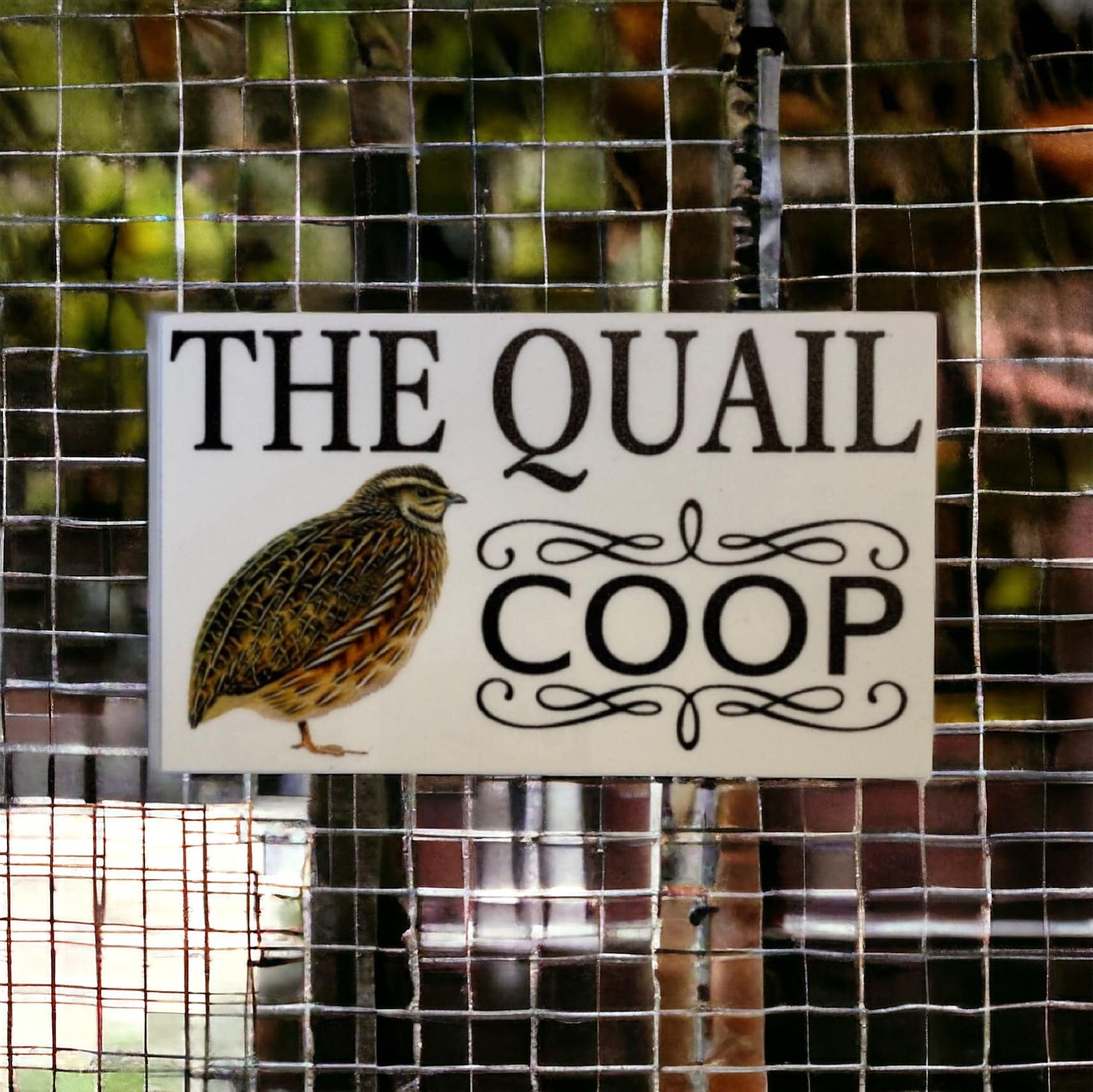 Quail Coop Original White Sign - The Renmy Store Homewares & Gifts 