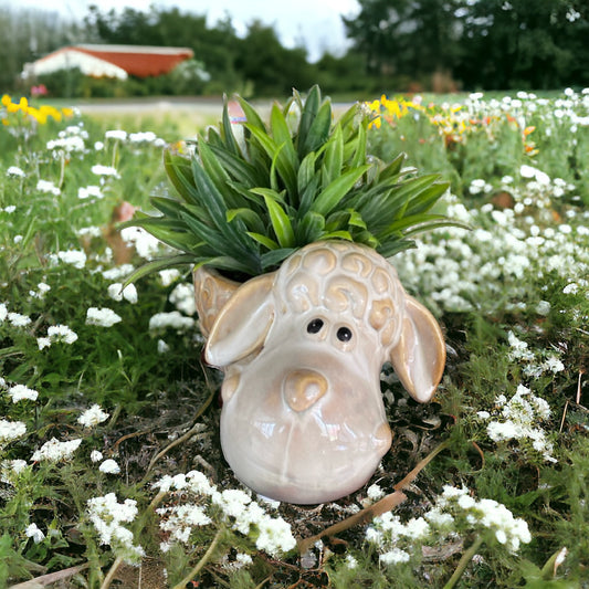 Sheep Country Pot Plant Garden - The Renmy Store Homewares & Gifts 