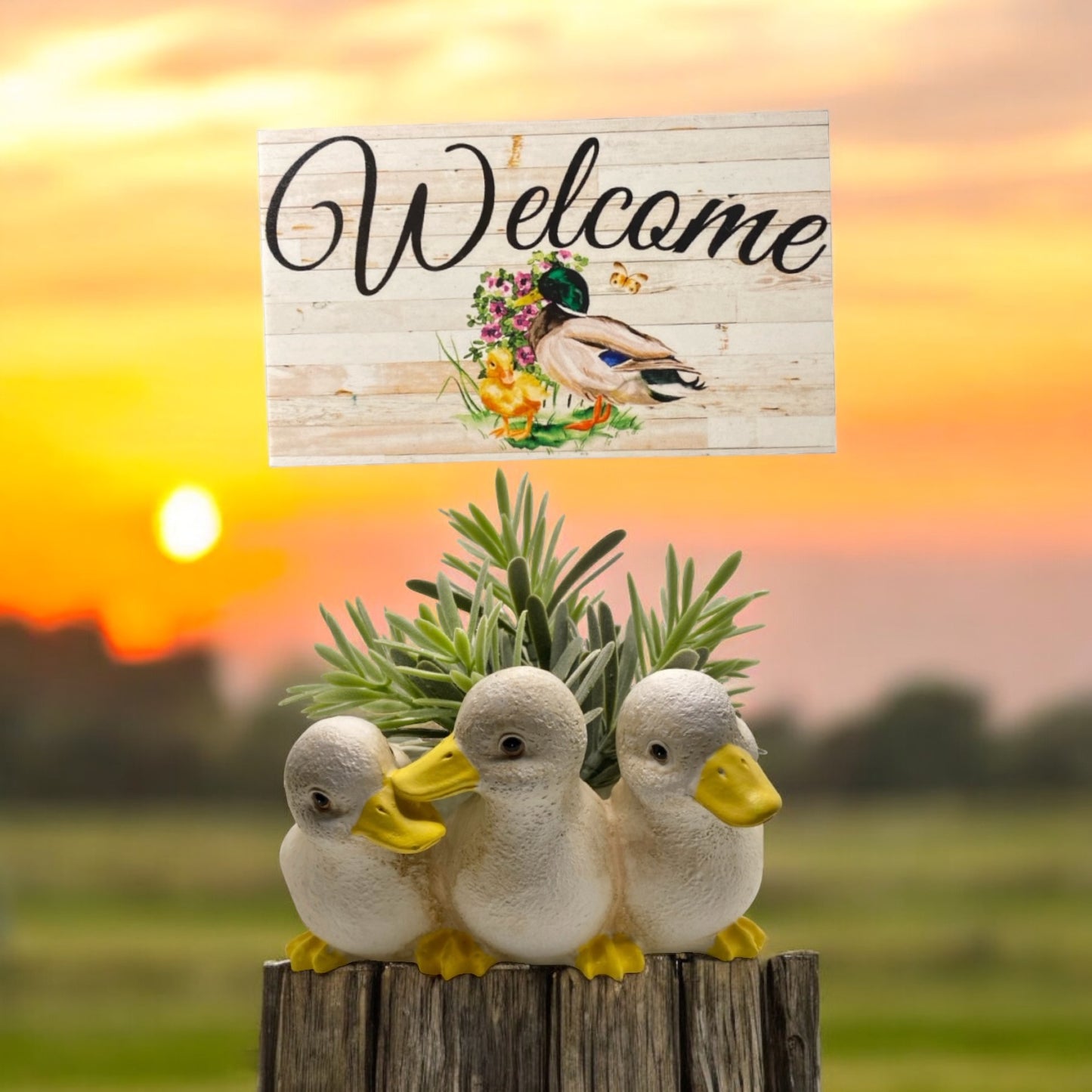 Duck Planter Garden Pot and Welcome Sign Gift Set - The Renmy Store Homewares & Gifts 