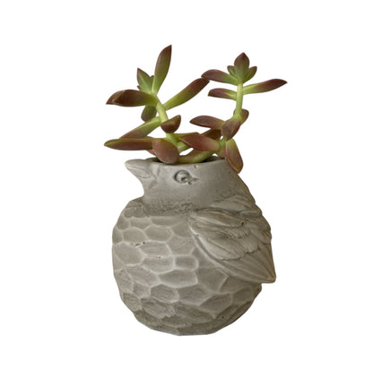 Planter Pot Bird Vase Aussie Handmade Concrete