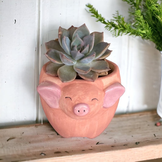 Plant Pot Planter Pig Alice - The Renmy Store Homewares & Gifts 