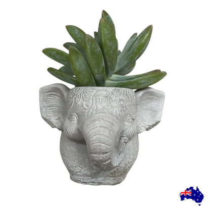 Planter Pot Elephant Boho Aussie Handmade Concrete