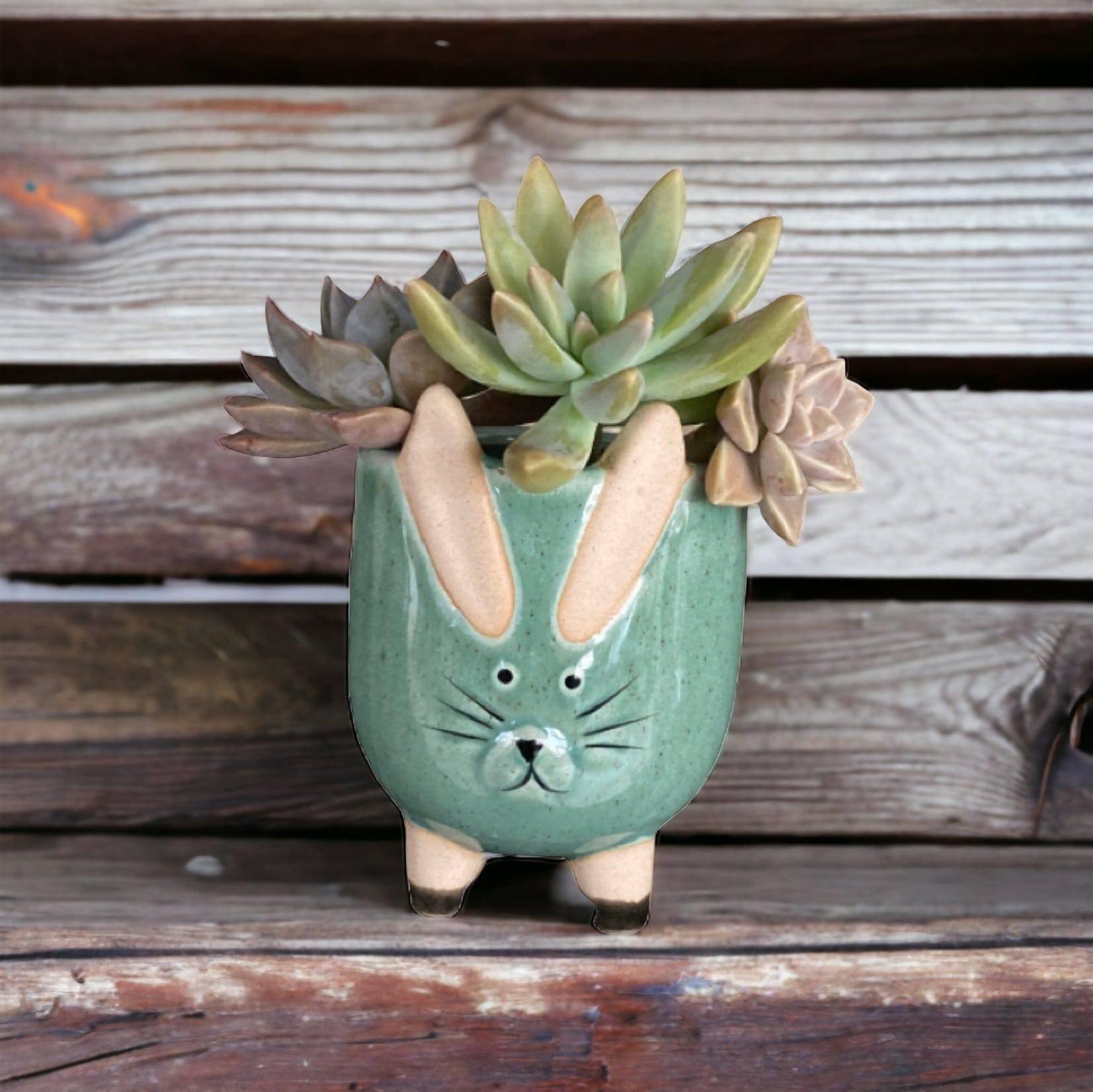 Plant Pot Planter Rabbit Greenery - The Renmy Store Homewares & Gifts 