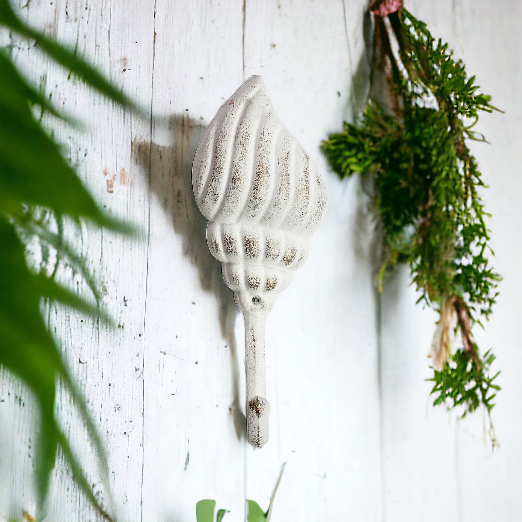 Hook Shell White Beach House - The Renmy Store Homewares & Gifts 