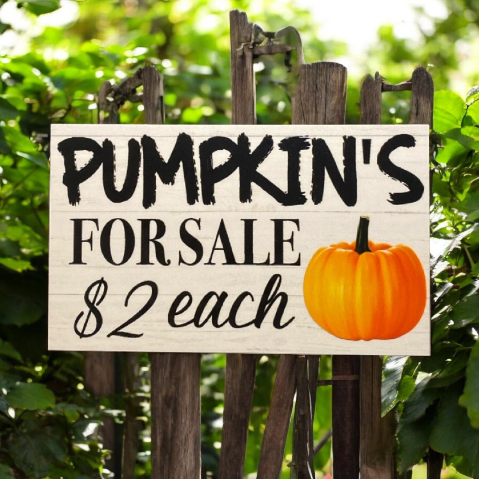 Pumpkins For Sale Farm Road Stall Custom Homesteading Sign - The Renmy Store Homewares & Gifts 