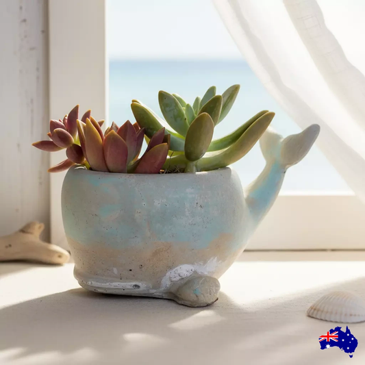 Planter Pot Whale Aussie Handmade Concrete