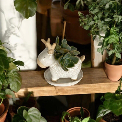 Deer Rustic White Pot Planter Succulent - The Renmy Store Homewares & Gifts 