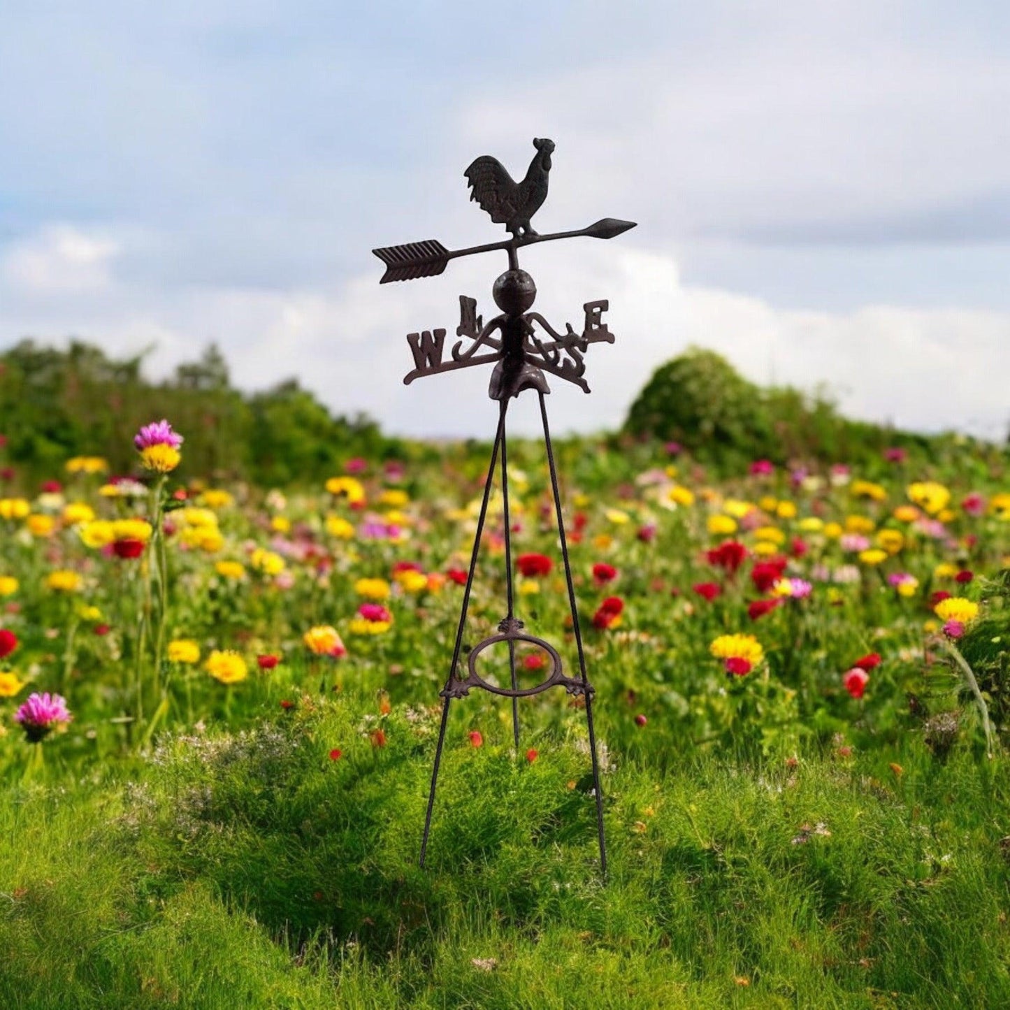 Wind Vane Rooster Chicken Vintage Cast Iron - The Renmy Store Homewares & Gifts 