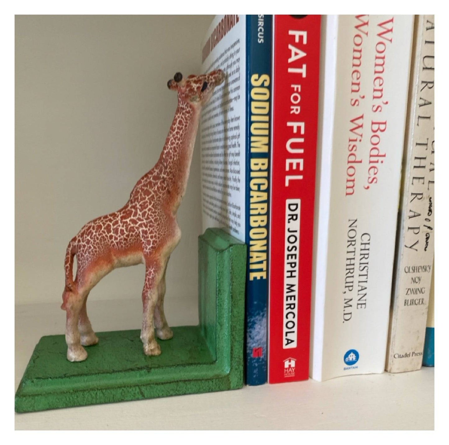 Book Ends Bookend Giraffe Africa - The Renmy Store Homewares & Gifts 