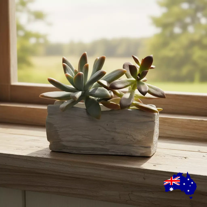Planter Pot Tree Log Rustic Aussie Handmade Concrete