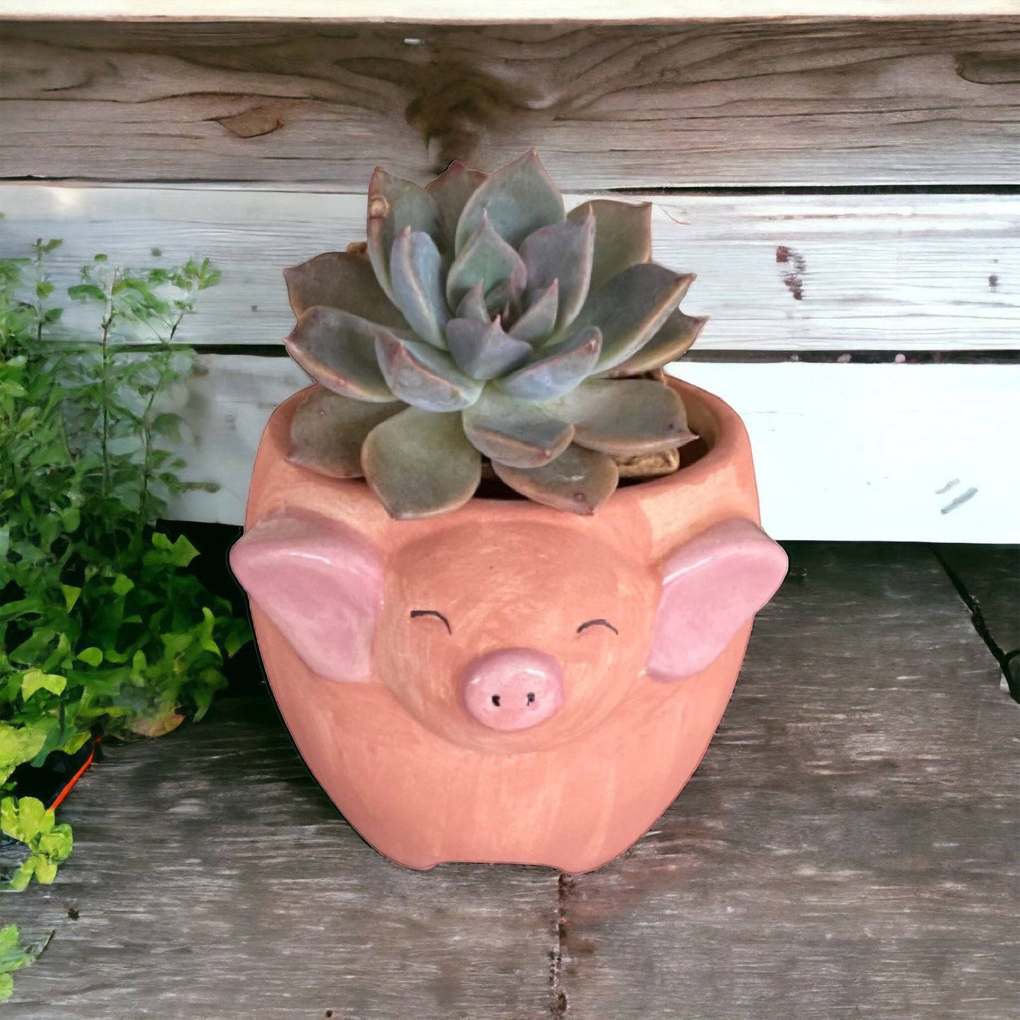 Plant Pot Planter Pig Alice - The Renmy Store Homewares & Gifts 