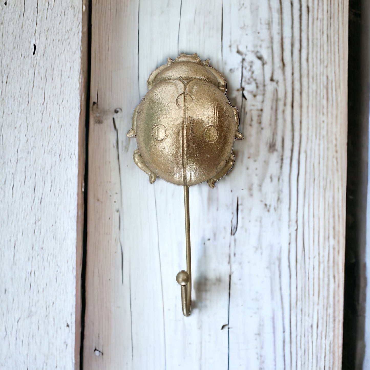 Hook Ladybug Beetle Rustic - The Renmy Store Homewares & Gifts 