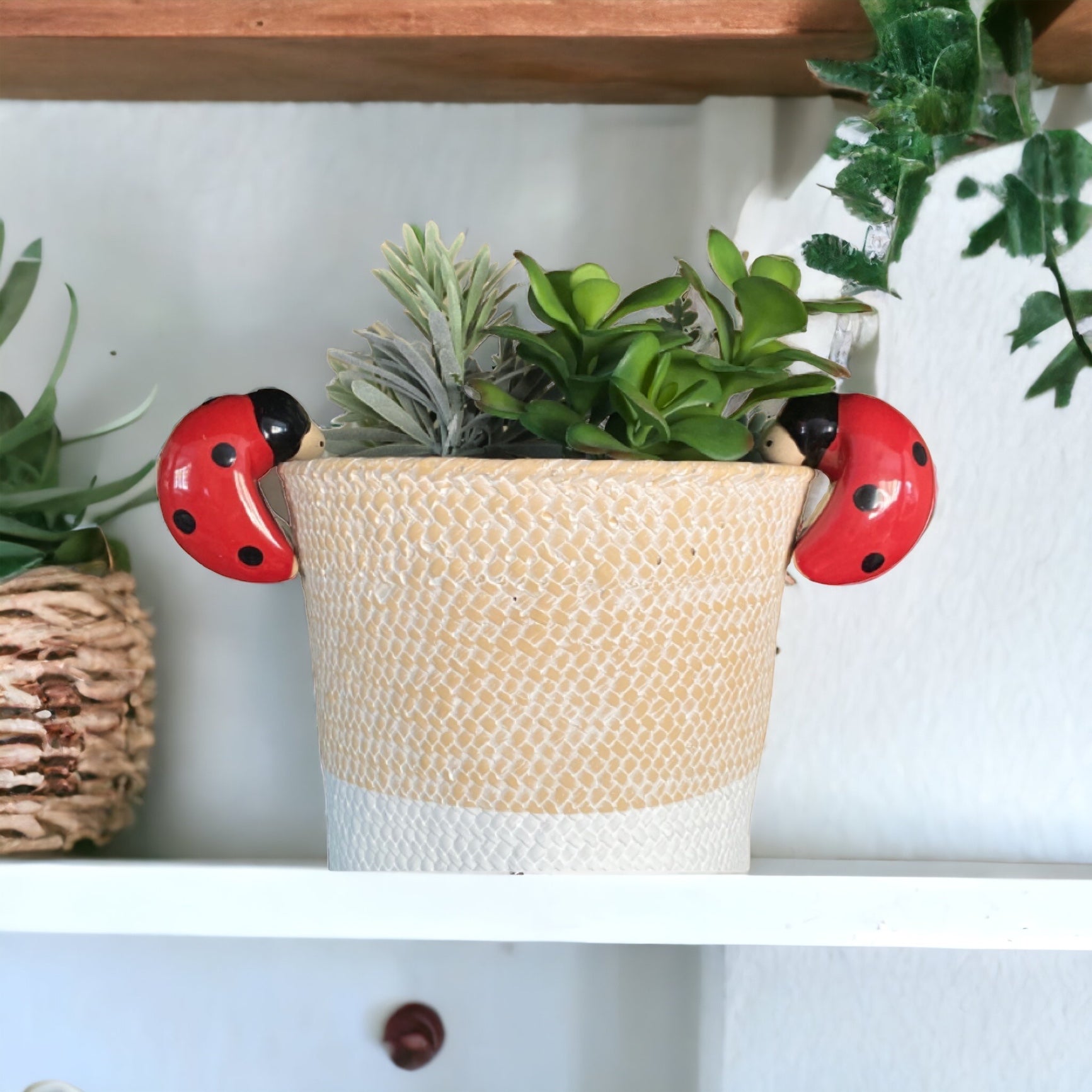 Ladybeetle Pot Sitter Hanger Planter x 2 - The Renmy Store Homewares & Gifts 