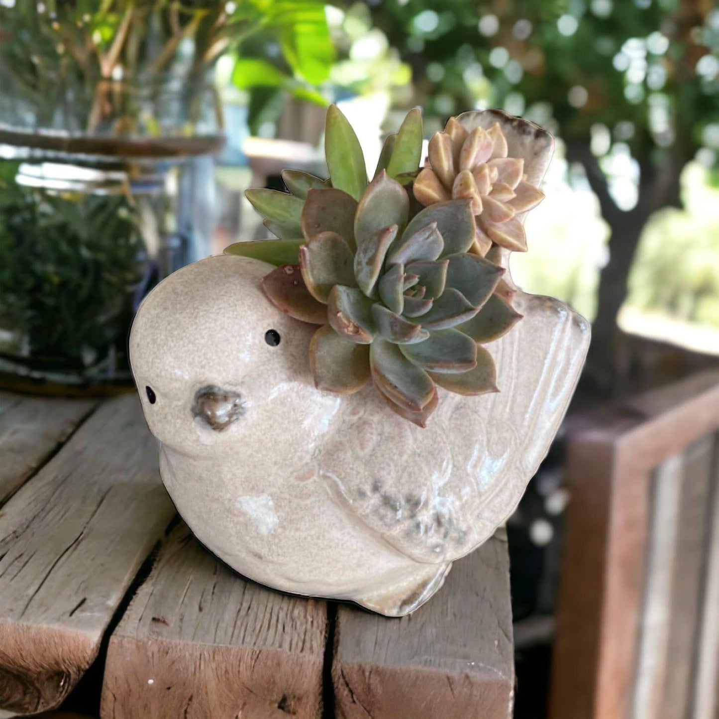 Plant Pot Planter Bird Natural - The Renmy Store Homewares & Gifts 