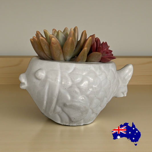 Planter Pot Fish Aussie Handmade Concrete
