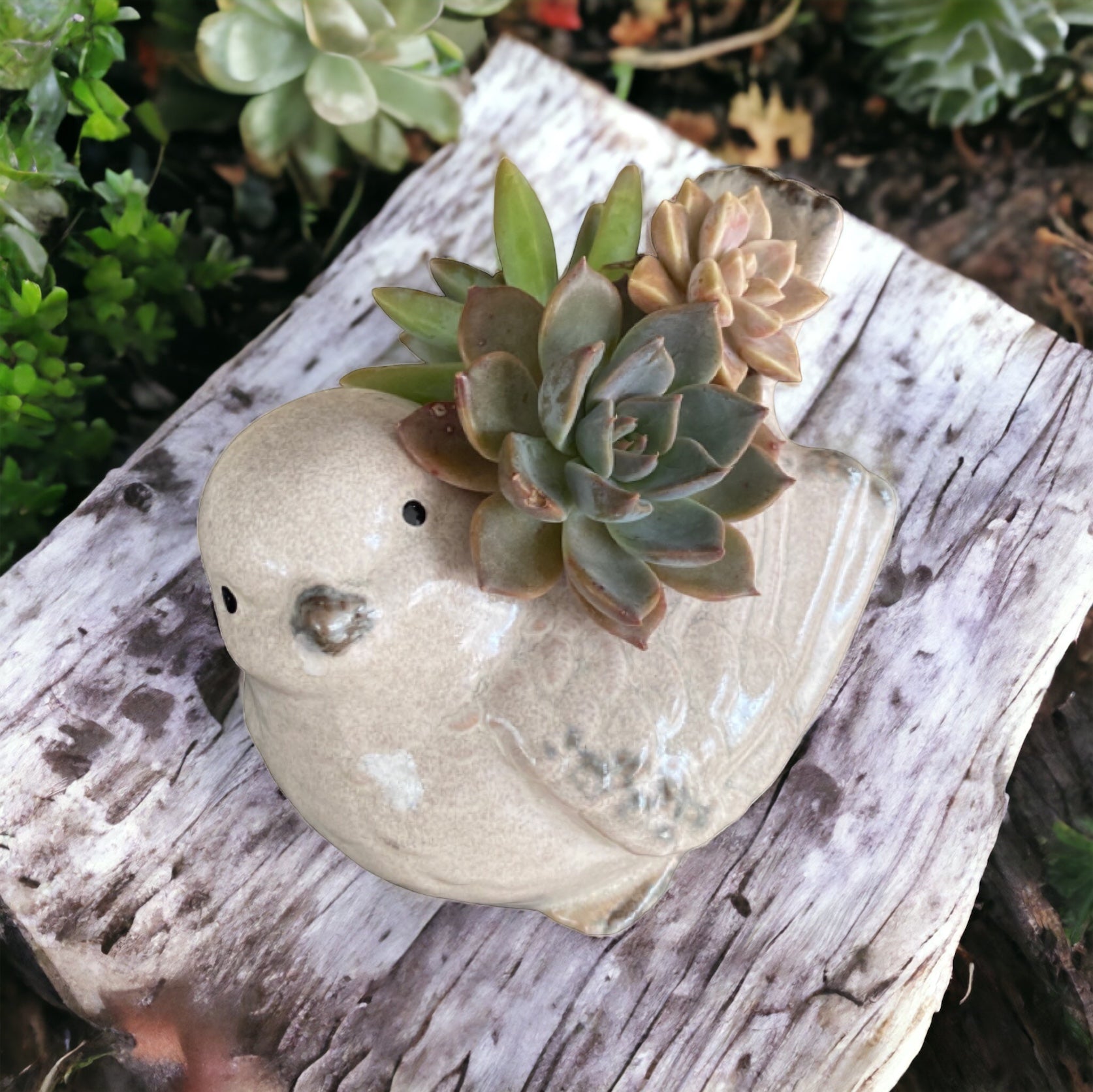 Plant Pot Planter Bird Natural - The Renmy Store Homewares & Gifts 