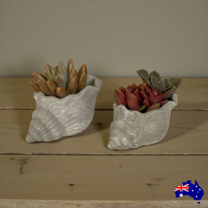 Planter Pot Shell Coastal Set of 2 Aussie Handmade Concrete