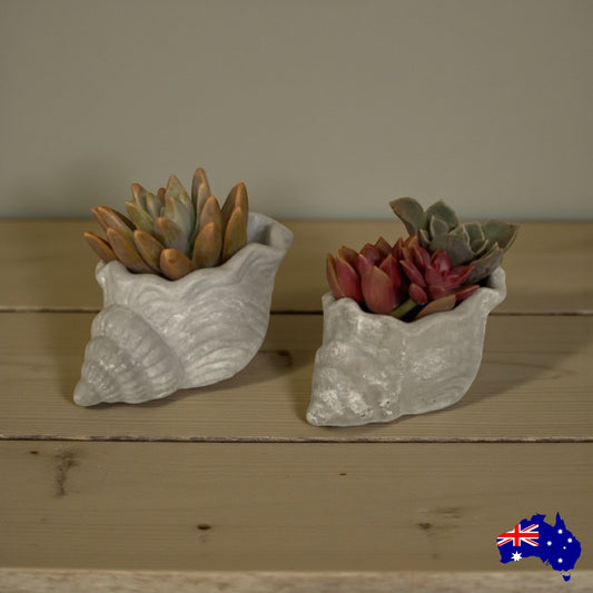 Planter Pot Shell Coastal Set of 2 Aussie Handmade Concrete