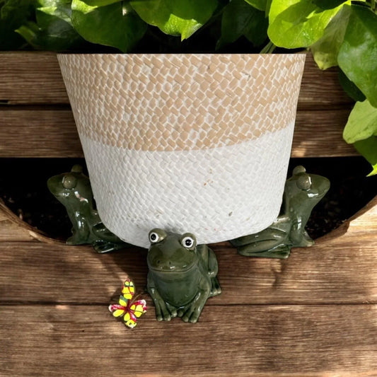 Pot Plant Feet Frog Set of 3 Green - The Renmy Store Homewares & Gifts 