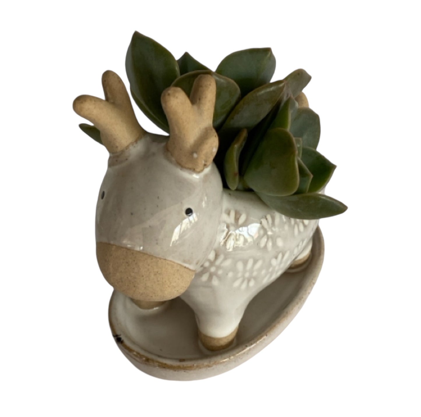 Deer Rustic White Pot Planter Succulent