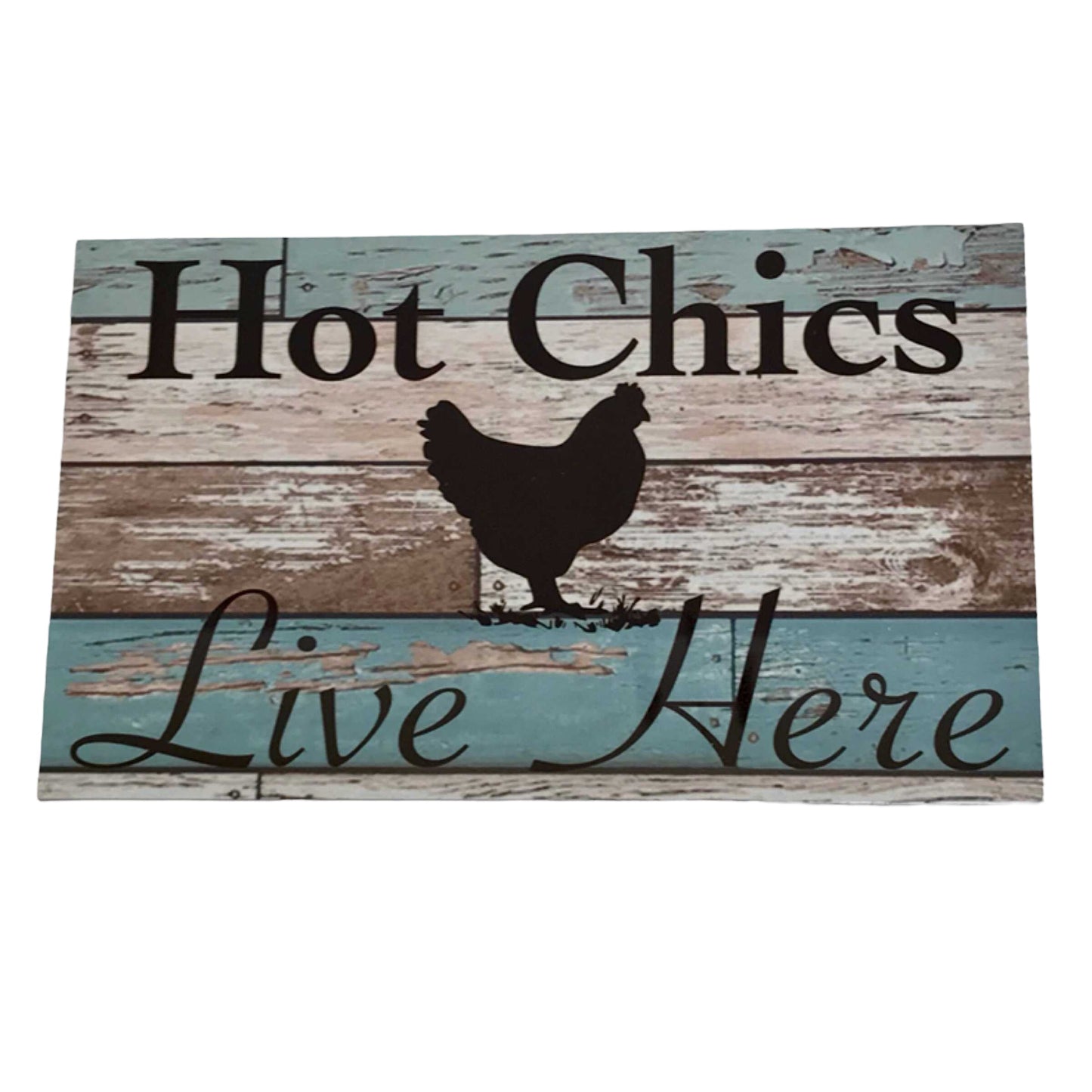 Chicken Hot Chics Live Here Blue Sign - The Renmy Store Homewares & Gifts 