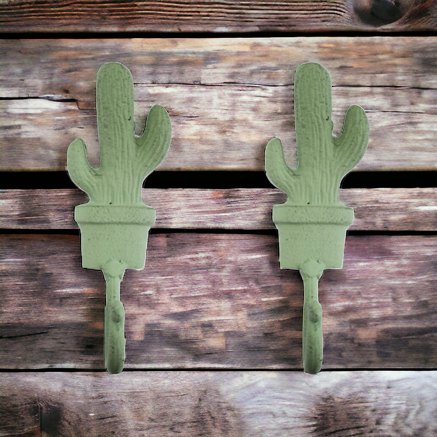 Hook Cactus Mexican Green Set of 2