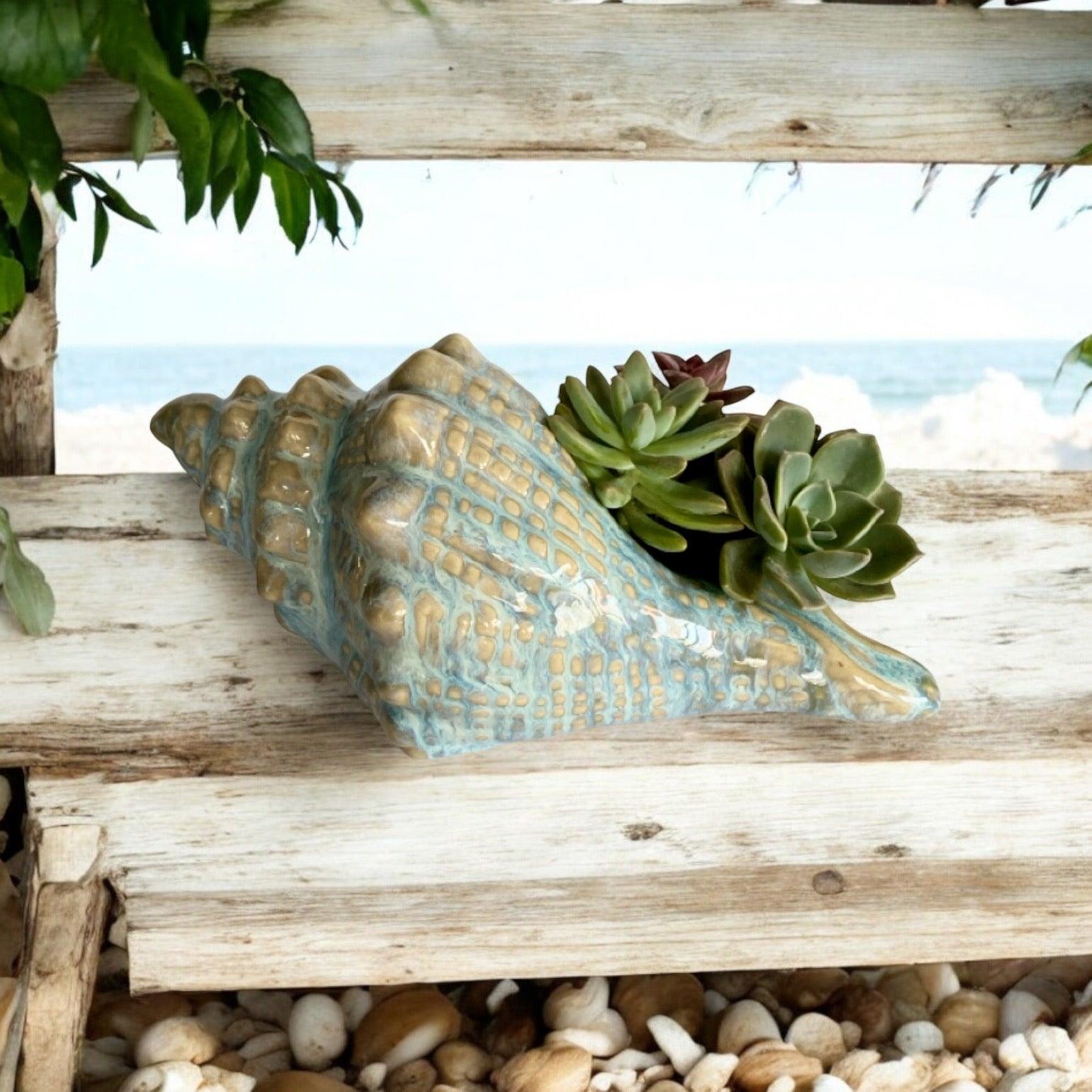 Shell Conch Ocean Ornament Pot Planter Succulents - The Renmy Store Homewares & Gifts 