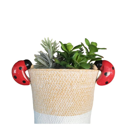 Lady Beetle Tea Towel Planter Hook Pot Sitter Sign Gift Set - The Renmy Store Homewares & Gifts 