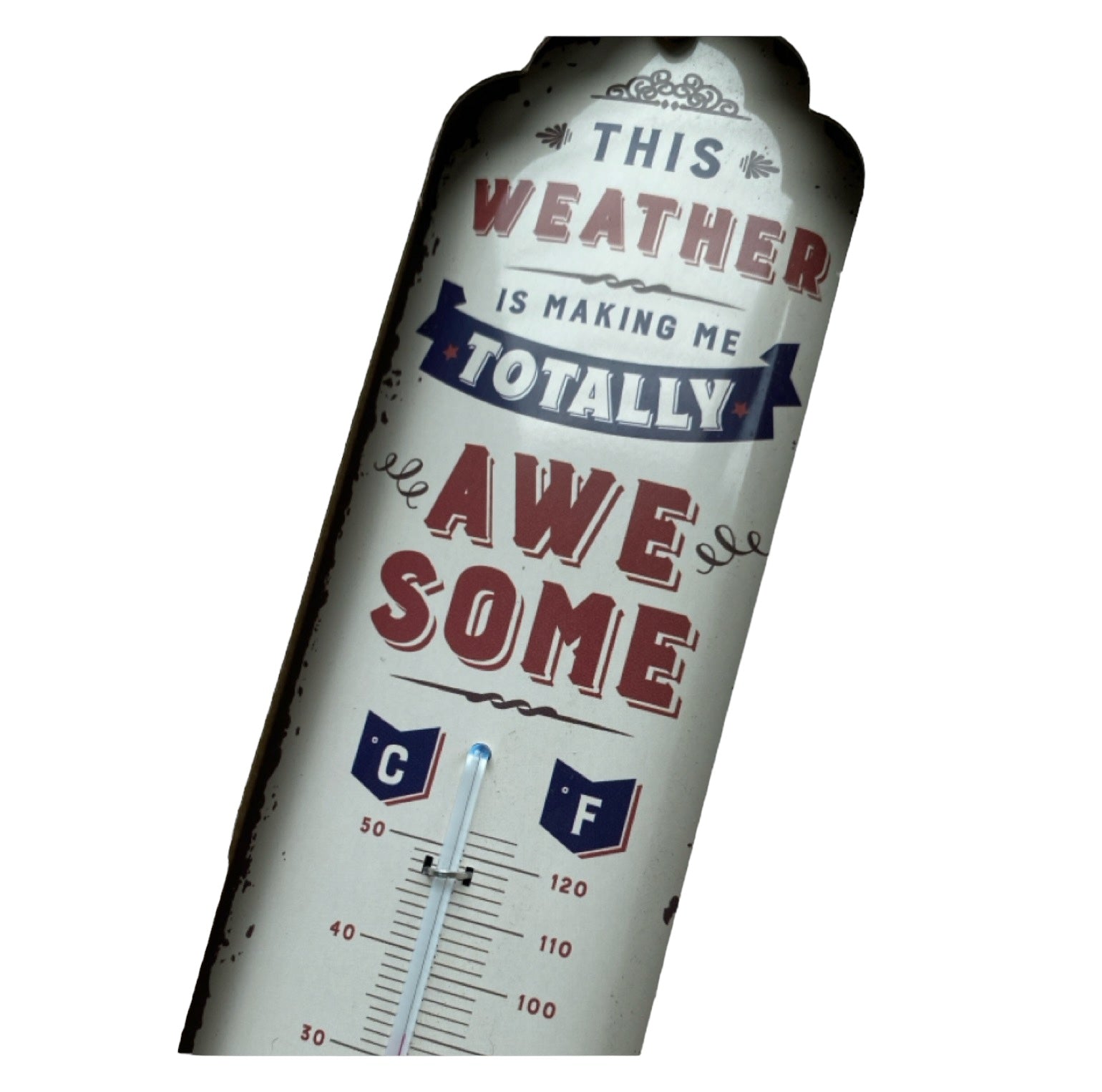 Thermometer Weather Temperature Awesome - The Renmy Store Homewares & Gifts 