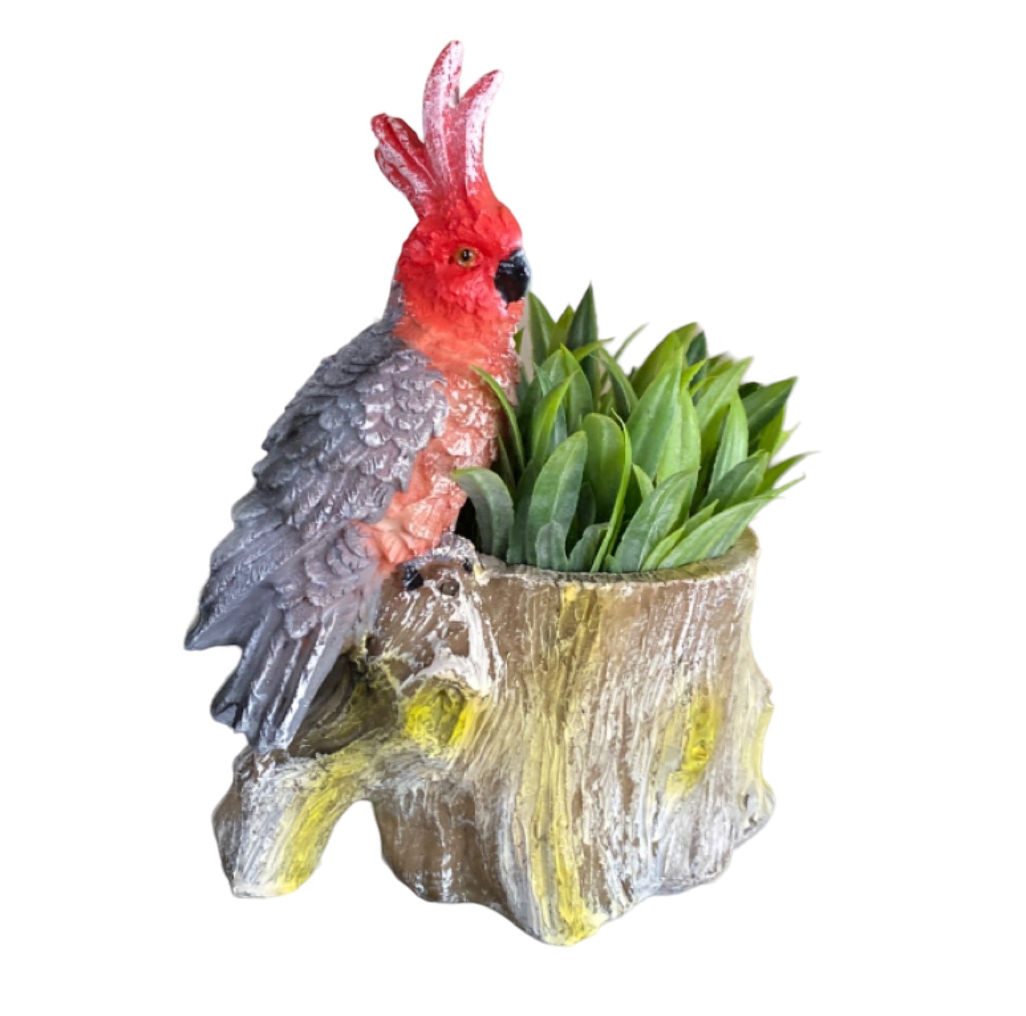 Plant Pot Planter Parrot