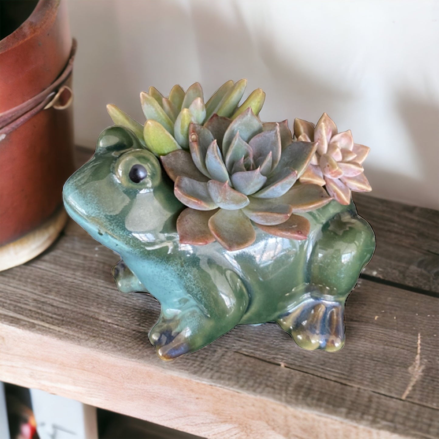 Plant Pot Planter Frog Rupit - The Renmy Store Homewares & Gifts 