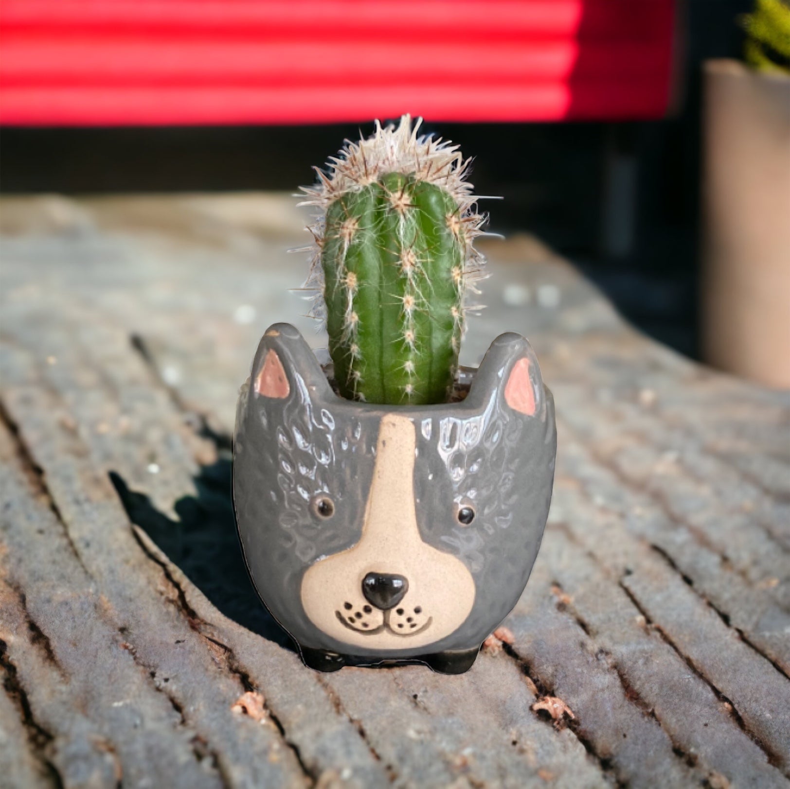 Plant Pot Planter Dog Rufus - The Renmy Store Homewares & Gifts 