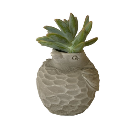 Planter Pot Bird Vase Aussie Handmade Concrete