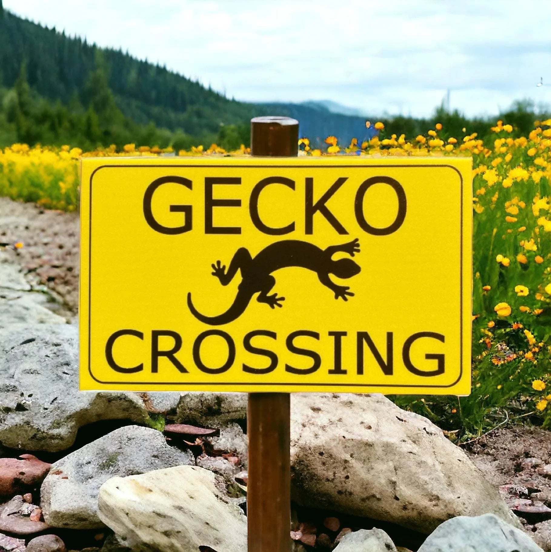 Sign Lizard Gecko Lizard Crossing Sign – The Renmy Store Homewares & Gifts