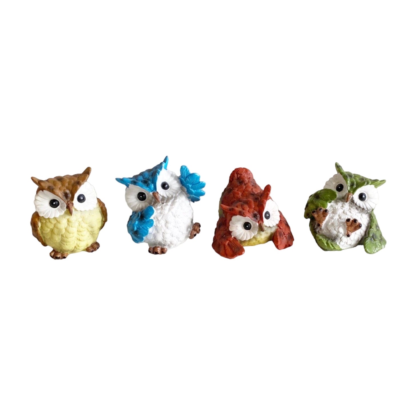 Owl Set of 4 Cheeky Colours