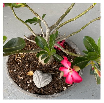 Heart Love Home Garden Decoration Aussie Handmade Concrete