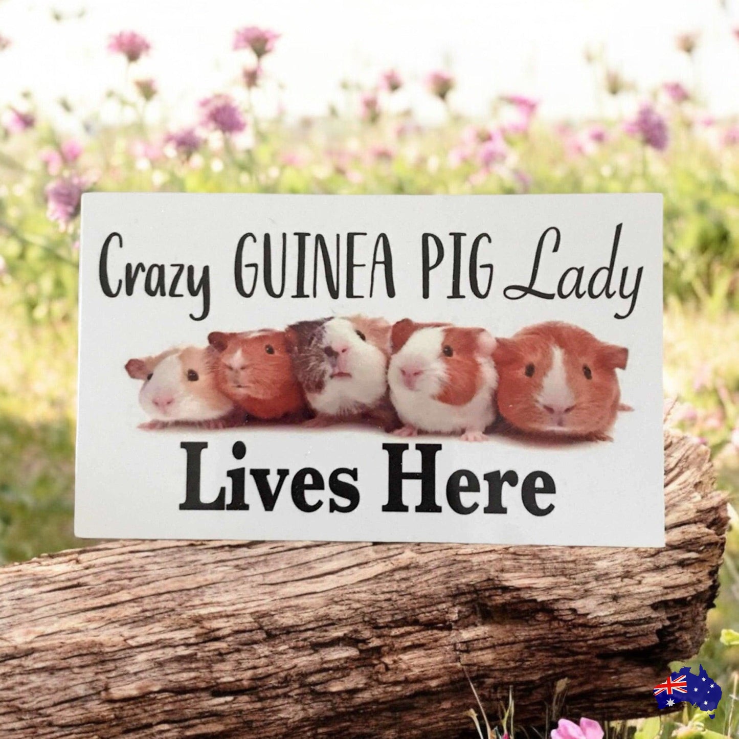 Crazy Guinea Pig Lady Lives Here Sign - The Renmy Store Homewares & Gifts 