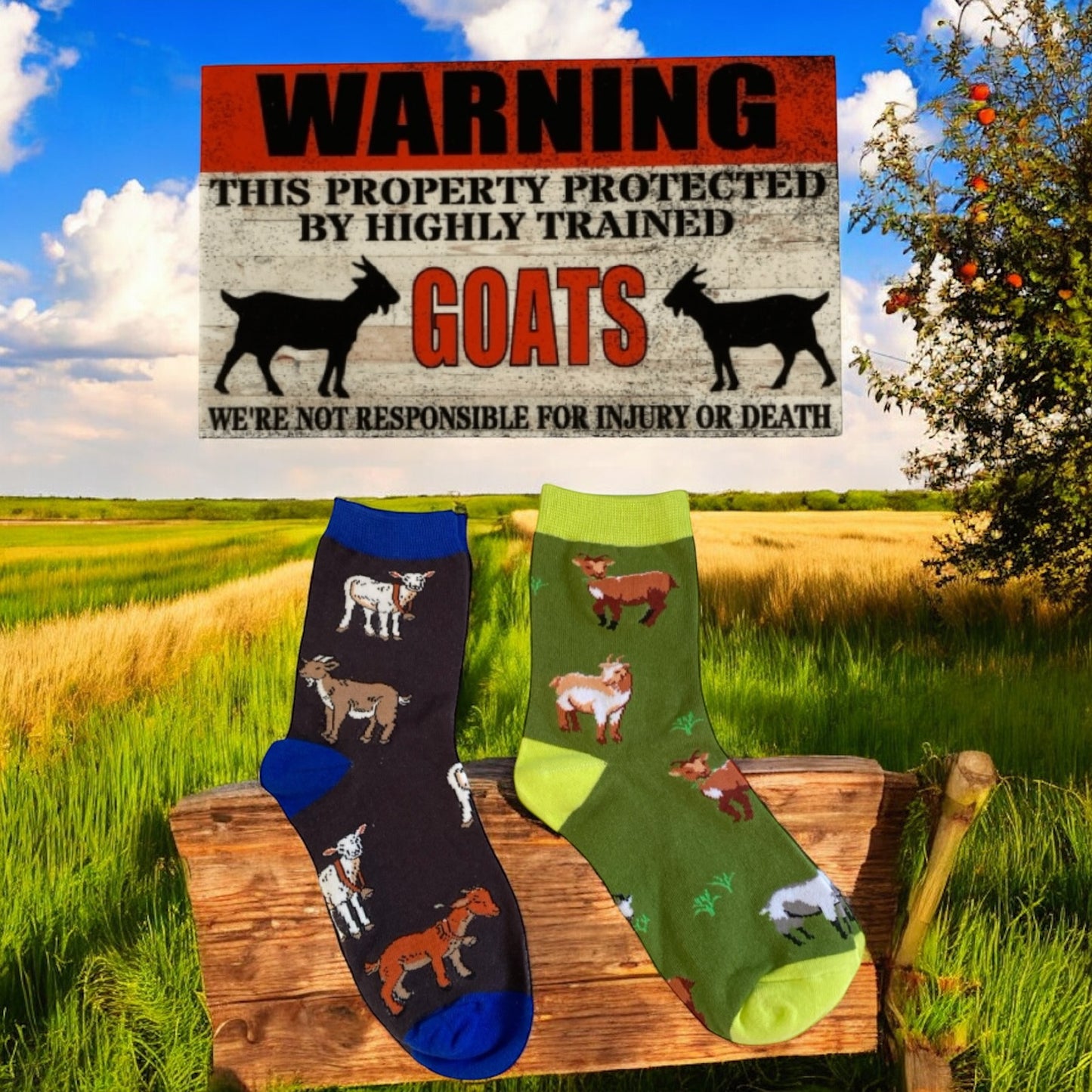 Goat Lover Two Socks and Warning Goat Sign Gift Set