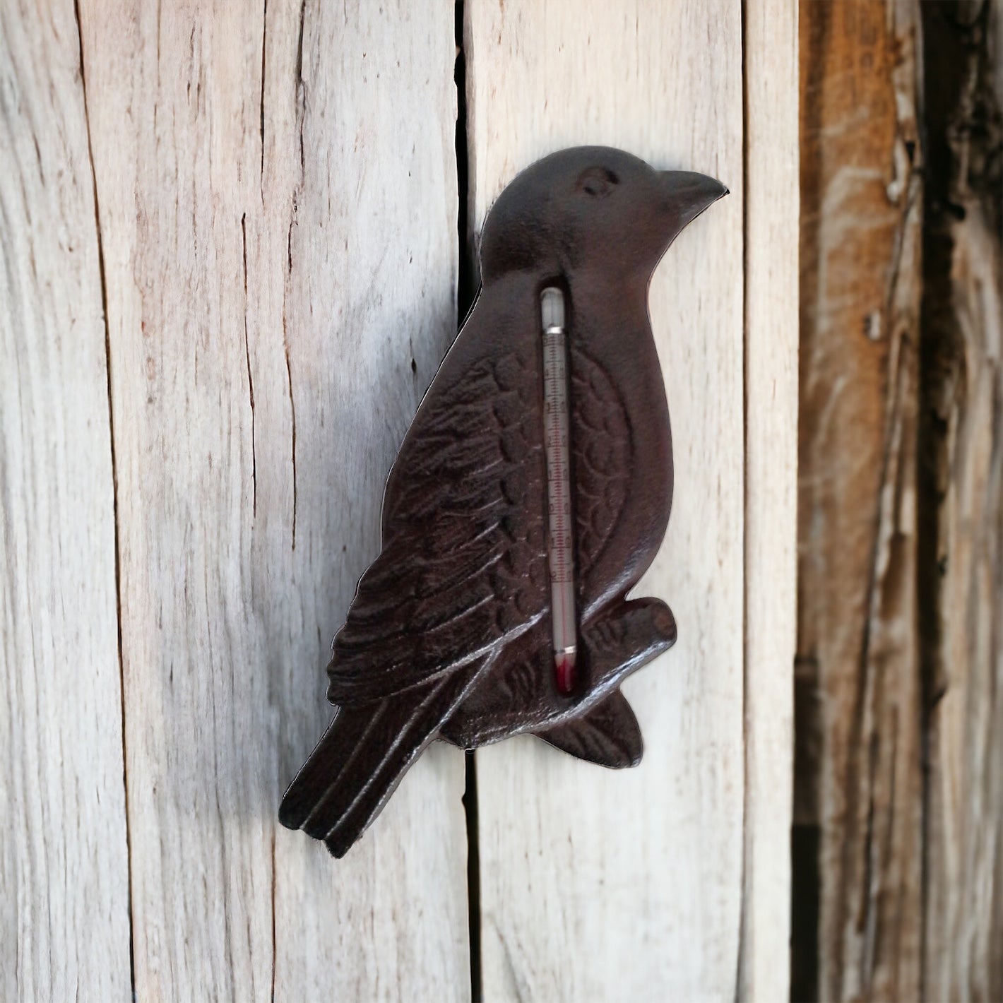 Thermometer Weather Rustic Bird - The Renmy Store Homewares & Gifts 