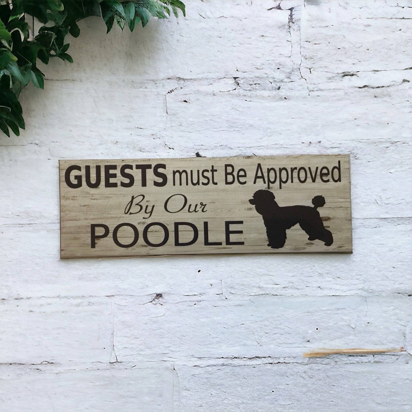 Poodle Dog Guests Must Be Approved By Our Sign - The Renmy Store Homewares & Gifts 