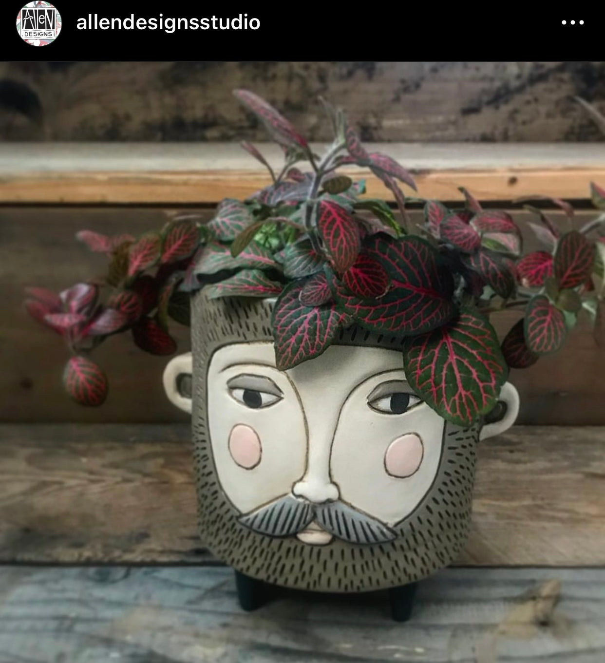 Pot Plant Planter Hairy Jack Funky Large - The Renmy Store Homewares & Gifts 