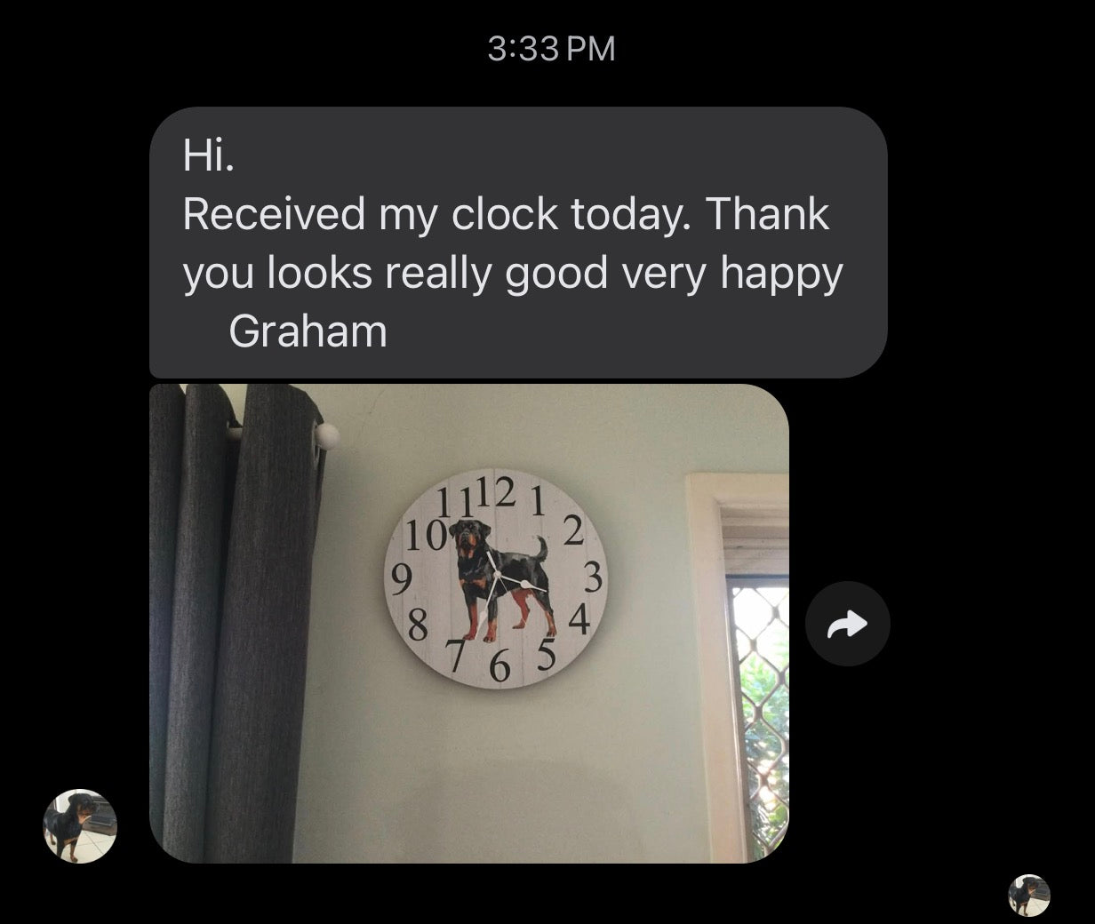 Rottweiler Wall Clock 30cm 60cm | Silent Quartz Aussie Made