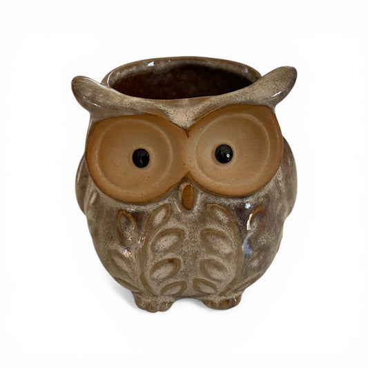 Owl Brown White Ceramic Plant Pot Planter | Succulent & Cactus Pot 8.5cm