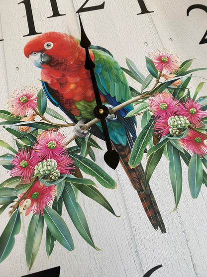 King Parrot Australian Bird Wall Clock | Aussie Made 30cm 60cm