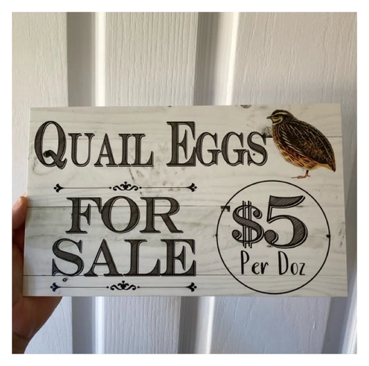 Quail Eggs For Sale Farm Stall Custom Sign