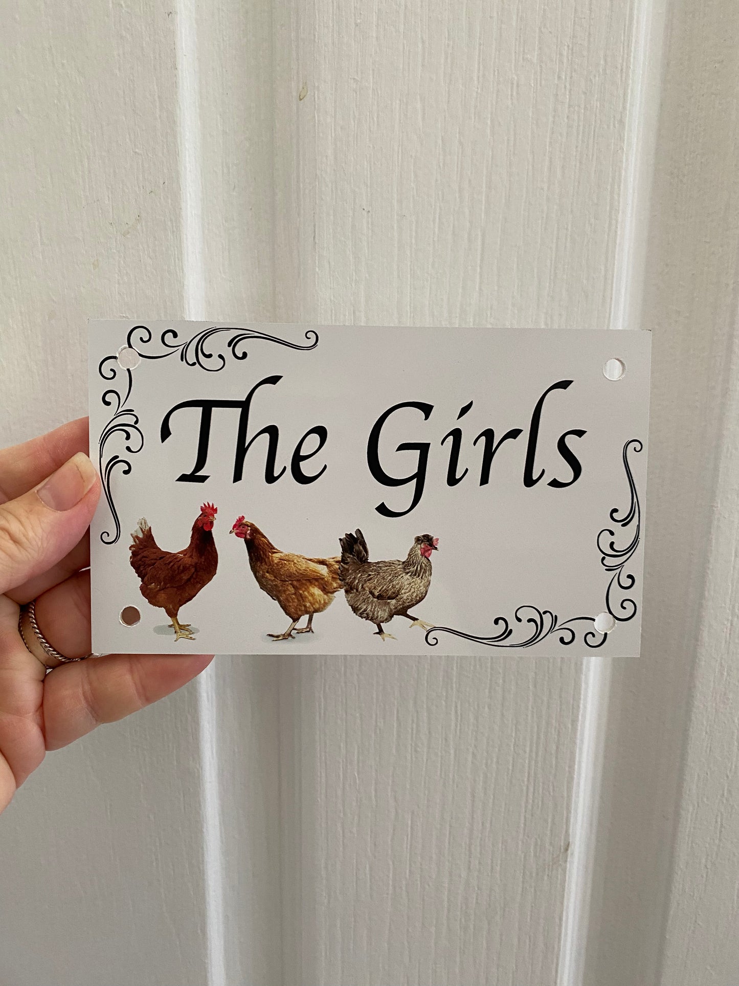 Custom Chicken Hen Coop Sign - Personalised White Signage - Australian Made